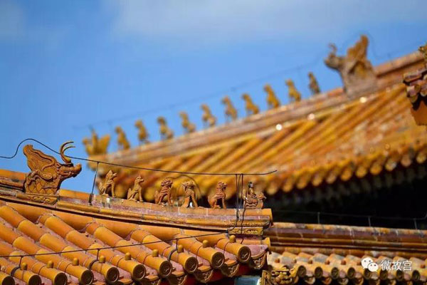 習(xí)近平特朗普同游故宮！那些讓特朗普驚嘆的殿、樓、齋，用英文怎么說？