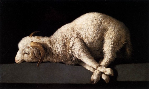替罪羊（scapegoat）、敗家羊（black sheep），為何英語中背鍋的總是羊