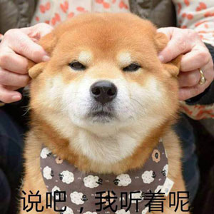 如何高級又委婉地表達“你很蠢”？