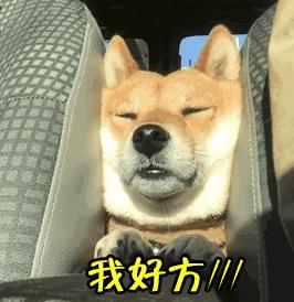 支付寶年度賬單挖了個(gè)大坑，你也不慎掉進(jìn)去了嗎？