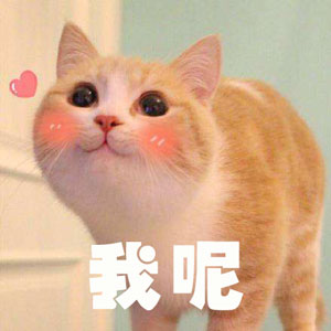 調(diào)查顯示狗奴比貓奴賺得多，你覺得準(zhǔn)嗎？