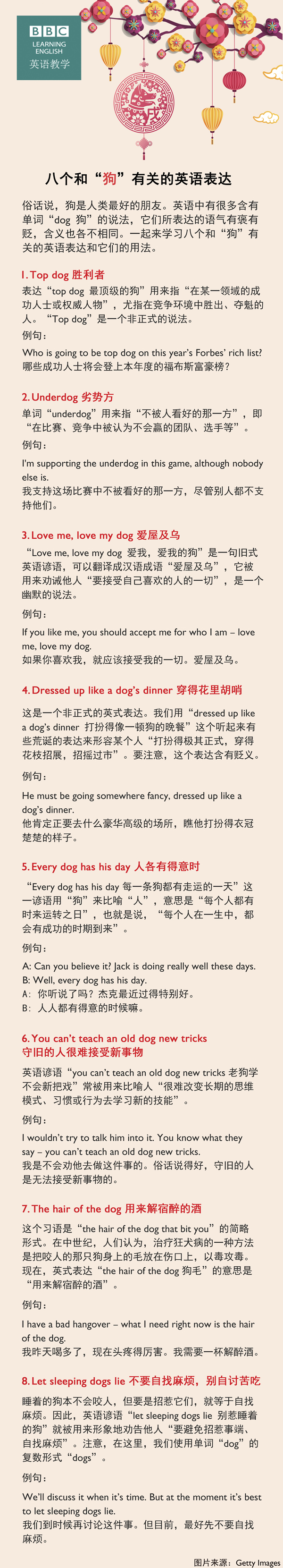 八個和“狗”有關(guān)的英語表達(dá)