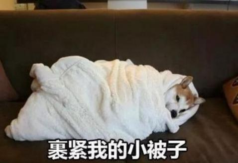 寒潮侵襲！英國(guó)人如臨大敵，卻遭北歐加拿大網(wǎng)友無(wú)情嘲笑