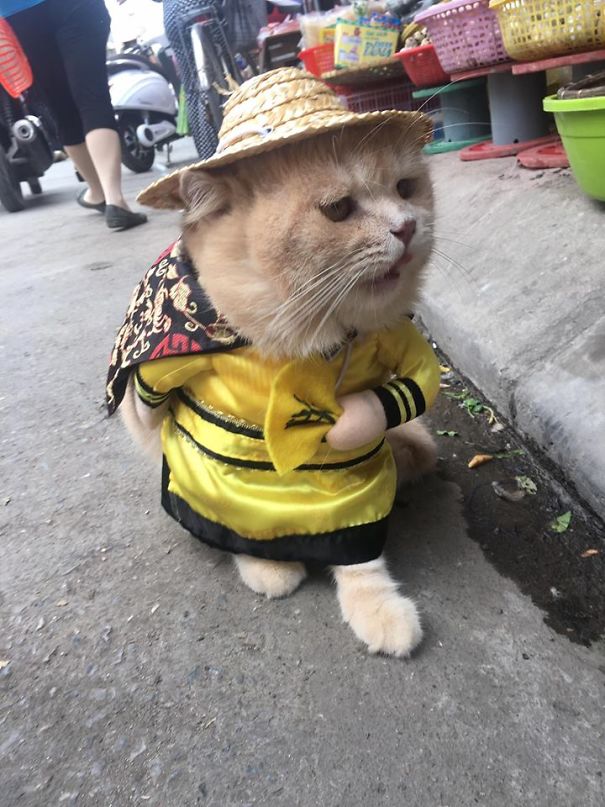 來會(huì)會(huì)越南最萌的魚販子（組圖）