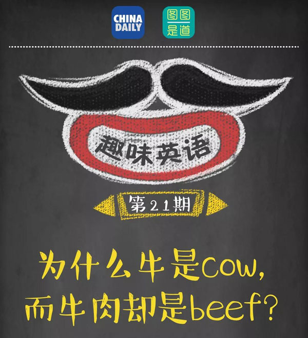 為什么牛是cow，而牛肉卻是beef？