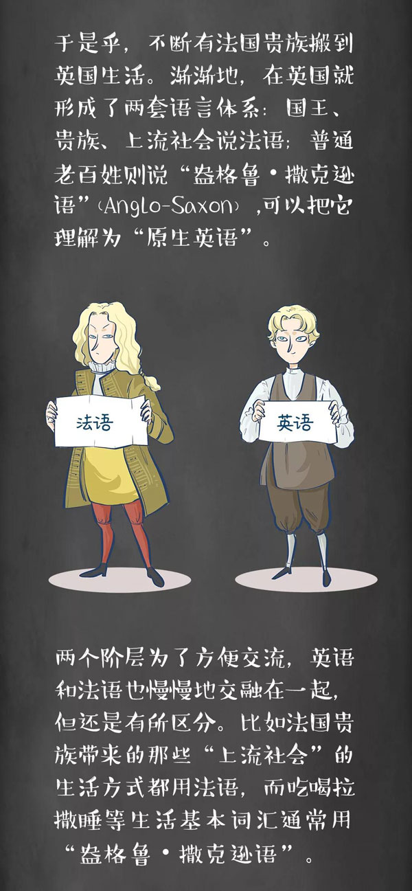 為什么牛是cow，而牛肉卻是beef？
