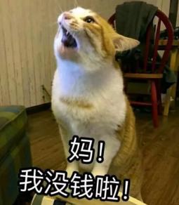 大學(xué)四年，我get了這些神技能