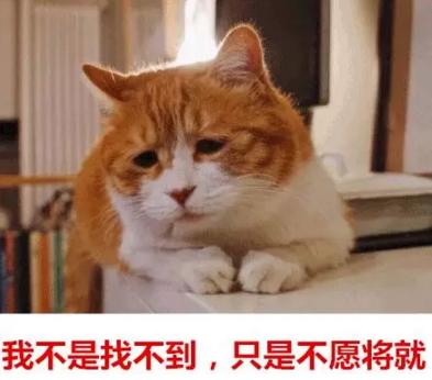 你單身的原因找到了！調(diào)查：七成人不愿將就，半數(shù)男生看臉