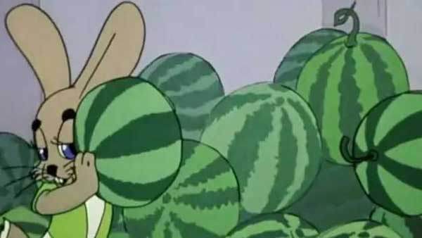 西瓜好不好靠敲？專家教你如何挑西瓜