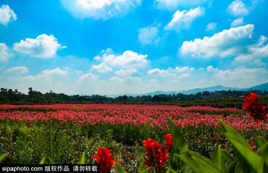 藍(lán)天白云刷屏！盤點(diǎn)風(fēng)清日朗的絕美風(fēng)光 為眼睛降溫