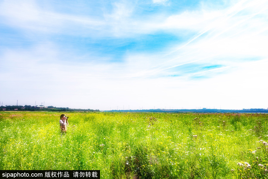 藍(lán)天白云刷屏！盤(pán)點(diǎn)風(fēng)清日朗的絕美風(fēng)光 為眼睛降溫