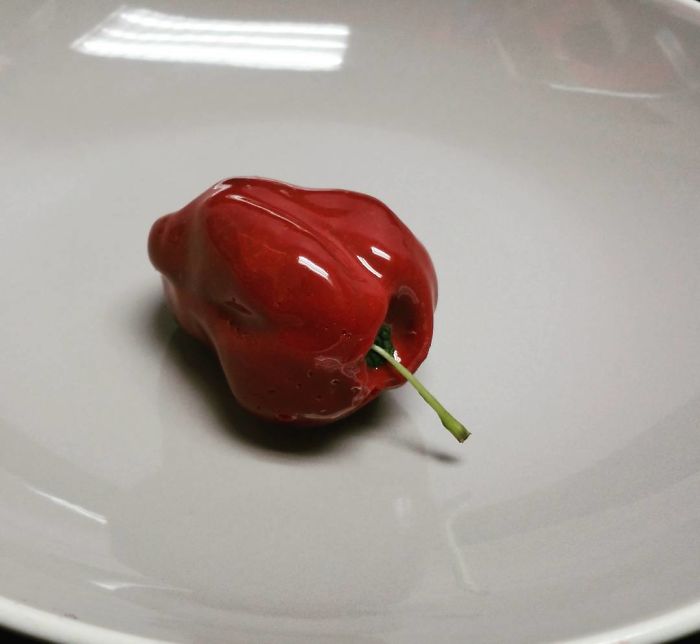 欺騙你的眼：這些東西，居然都是美味糕點(diǎn)（組圖）