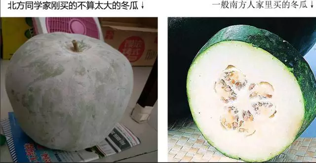 “南北差異”大討論：南方買菜買一頓，北方買菜買一噸？