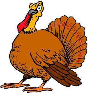 Turkey 感恩節(jié)為什么要吃火雞？