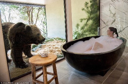 旅館？動(dòng)物園？這是澳大利亞加馬拉野生動(dòng)物旅館！
