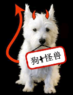 趣味翻譯：沒(méi)有自行車(chē)的魚(yú)？