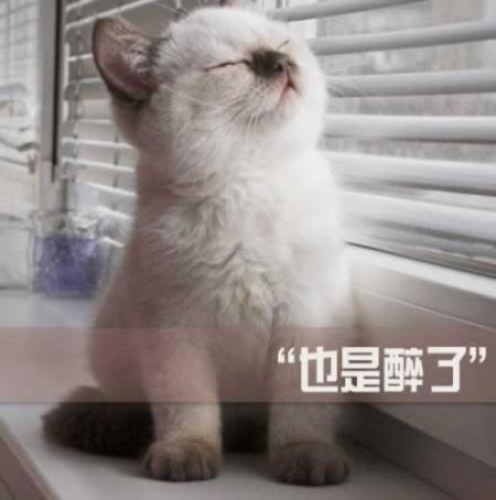2014網(wǎng)絡(luò)流行語大盤點 且行且珍惜