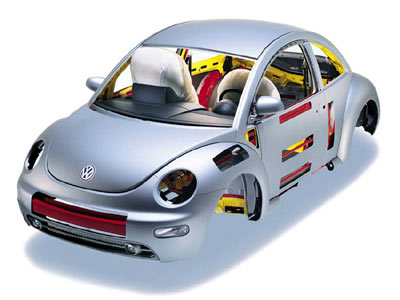 Beetles everywhere