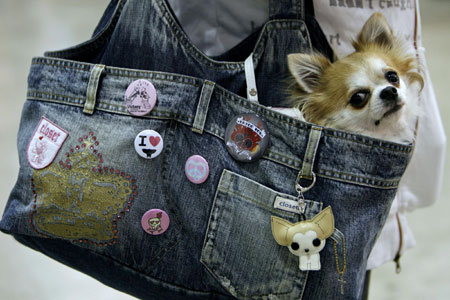Pet Expo 2007