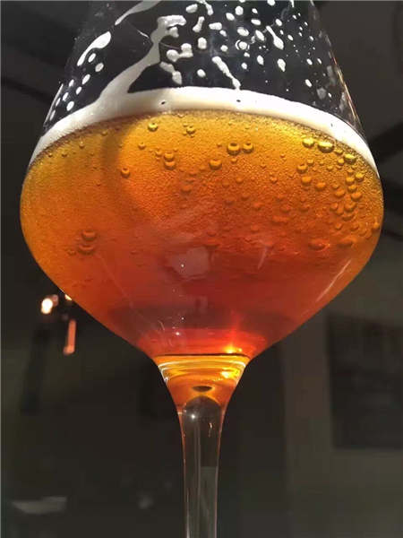 Bite of the week