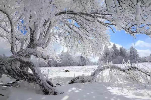 Laoling: Jilin's winter wonderland