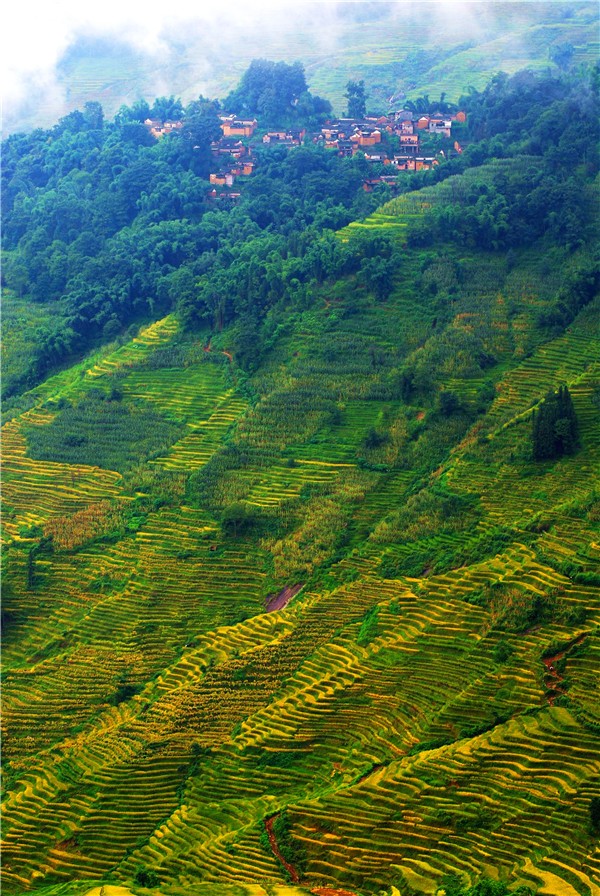 省市風(fēng)景