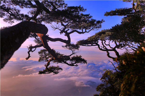 自然風(fēng)光