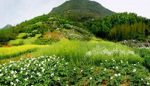 Phoenix Mountain