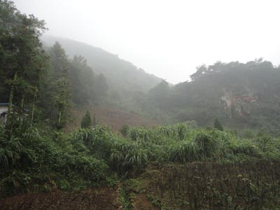 Tongling, A Hidden Gem within the Middle Kingdom