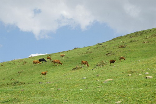 Heihe Laopo
