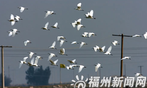 榕未來(lái)城市規(guī)劃主打山水牌　3年內(nèi)將再建7個(gè)公園