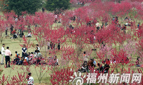 榕未來城市規(guī)劃主打山水牌　3年內(nèi)將再建7個公園