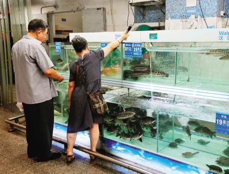 水產(chǎn)批發(fā)市場淡水魚供應(yīng)正?！￠诺~價(jià)格穩(wěn)定