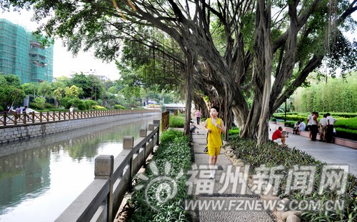 福州綠滿城環(huán)境質(zhì)量持續(xù)良好　節(jié)能減排成效顯著