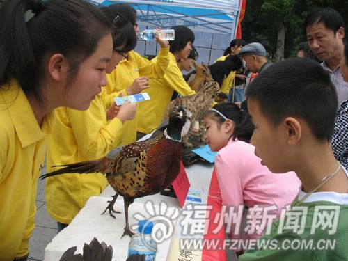 西湖公園昨展出野生動物標(biāo)本　宣傳保護野生動物