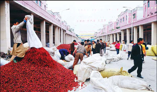Guizhou uses balanced approach to urbanization