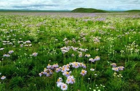 Huitengxile Prairie