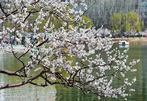 People enjoy scenery at Qingcheng Park in Hohhot, North China