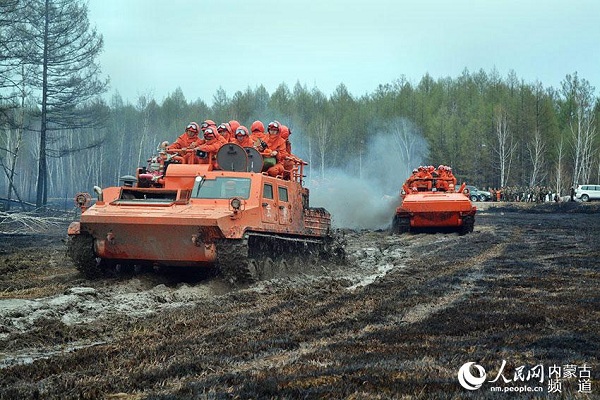 Bilahe forest fires extinguished