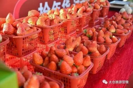 Winter fishing: Taicang's bracing Chinese New Year tradition