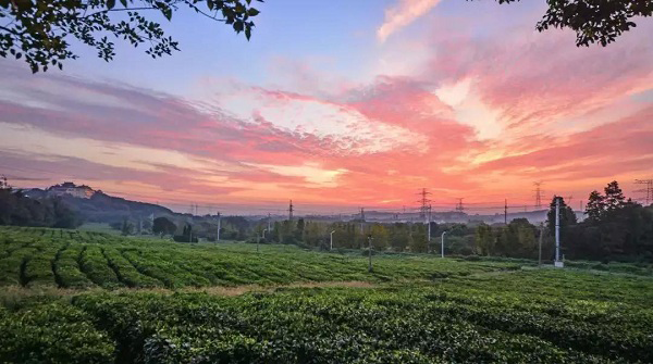Doushan bags national award as Beautiful Leisure Village
