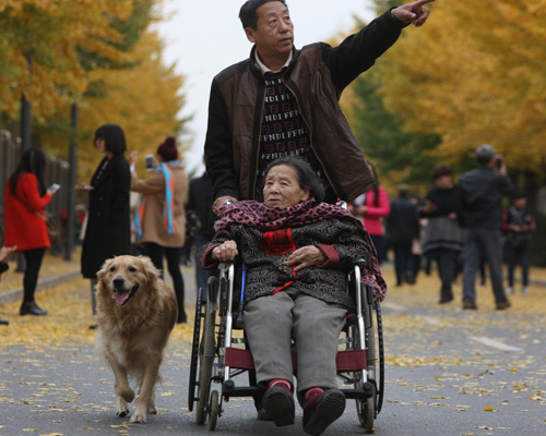 Autumn scenery at Shenyang Agricultural University