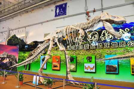 恐龍化石骨架現(xiàn)身青島濰坊周（圖）