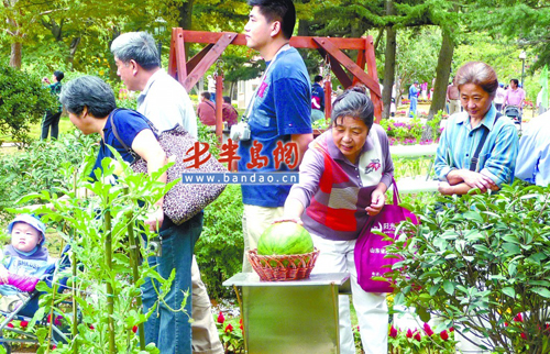青島中山公園火爆開(kāi)園 首日游客量突破8萬(wàn)人