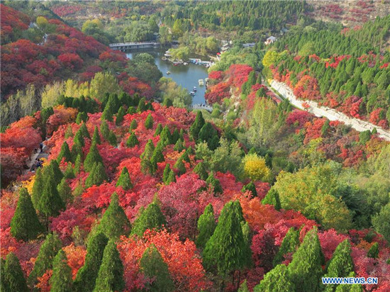 Charming autumn scenery in Jinan, E China's Shandong
