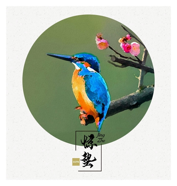 Spring in China sees the 'Awakening of the Insects'