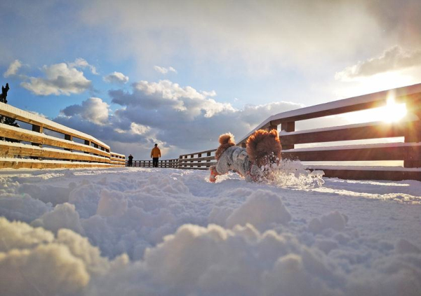 In pics: snow turns Yantai into winter wonderland