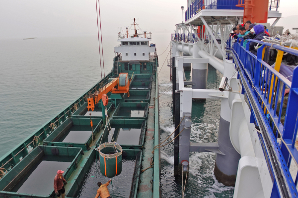 Yantai marine ranch welcomes fish harvest season