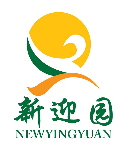 我是一枚硬幣