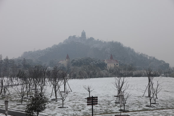 Chenshan Garden sees beautiful snowfall